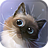 Peper Kitten icon