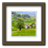 PhotoFrameWidget icon