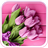 Pink Tulips Live Wallpaper version 3.0