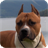 Pitbull Dogs Pack 2 Live Wallpaper icon