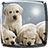 Puppies Live Wallpaper icon