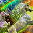 Rainbow Unicorns Live Wallpaper icon