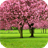 Sakura Video Wallpaper 3D icon