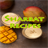 SharbatRecipes icon