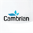 cambrianv icon