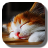 Sleep Cat icon