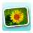 PhotoAlbum icon