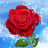 Flowers and Rain Drops APK Download