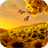 Sunflowers HD icon