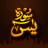 Surah Yaseen icon