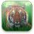 Tiger Free Video Wallpaper 1.5