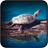 Turtle Wallpapers 26