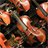 Violin Live Wallpaper icon