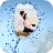 Water Frames Photo Editor icon