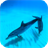 Wild Dolphins Video Wallpaper icon
