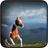 Wild Horse Wallpapers icon