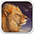 Wild Lion Live Wallpaper HD icon