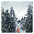 Winter Snowfall Live Wallpaper version 1.3