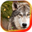 Wolf Best HD live wallpaper version 1.1