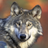 Wolf Wallpapers APK Download