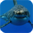Descargar White Shark HD Video Wallpaper