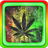 Weed APK Download