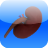 KidneyStoneRemedy icon