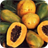 Dieta de la papaya icon