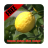 lemon detox diet recipe 1.0