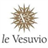 Le Vesuvio icon