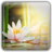 Lotus Wallpapers icon