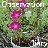 Observation Diary icon