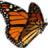 Monarch MediSpa Corp icon