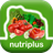 NutriPlus-nutritional value creator icon