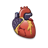 Organ Donor icon