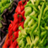 Organic Food Connected icon
