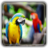 Parrot Wallpapers icon