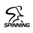 Physis Spinning icon