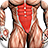 programm muscles icon