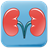 Renal Disease Kidney Friendly Diet icon