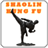 Shaolin Kung Fu Training 2.31