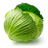 cabbagesoupdiet icon