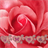 The rose of love APK Download