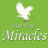 Aloe Vera Miracles icon