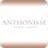 Anthonisse icon