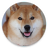 Walky Doggy icon