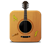 Acoustic cover icon