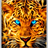 Blue Eyed Leopard LWP 26