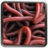 Can of Worms icon
