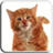 Cat Licks Live Wallpaper Free icon
